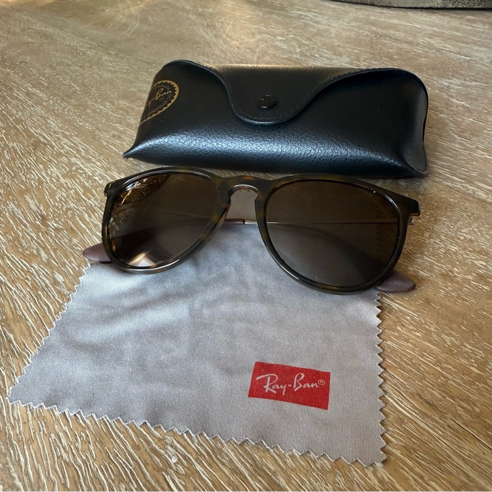Ray-Ban Polarized Erika Sunglasses with Case